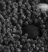 POHL B tumehall 940